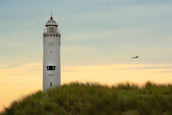 © Jeanette van Starkenburg Vuurtoren Noordwijk aan Zee.jpg